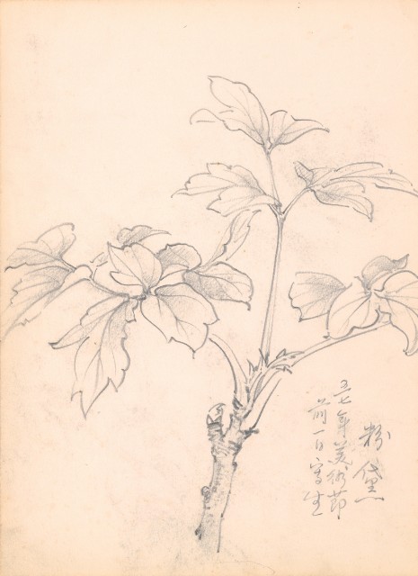 藏品:花、鴛鴦、虎、鳥等寫生集008的(5)張圖片