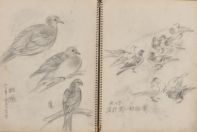 藏品:動物、植物及猴硐景觀等寫生集的(6)張圖片