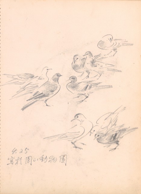 藏品:花、鴛鴦、虎、鳥等寫生集008的(8)張圖片