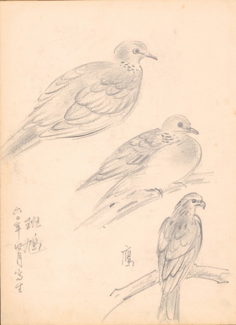 藏品:花、鴛鴦、虎、鳥等寫生集008的(9)張圖片