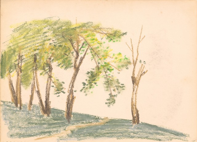 藏品:花、鴛鴦、虎、鳥等寫生集008的(13)張圖片