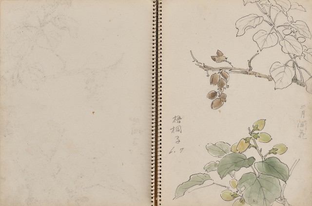 藏品:動物、植物及猴硐景觀等寫生集的(14)張圖片