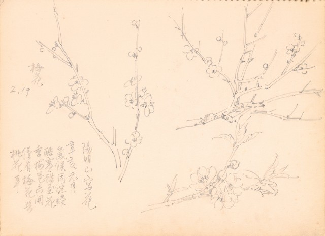 藏品:花、鴛鴦、虎、鳥等寫生集008的(21)張圖片