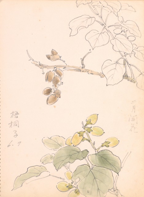 藏品:花、鴛鴦、虎、鳥等寫生集008的(22)張圖片