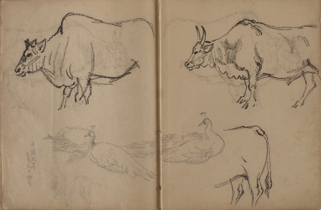 藏品:動物、植物、人物及京都景觀等寫生集的(5)張圖片