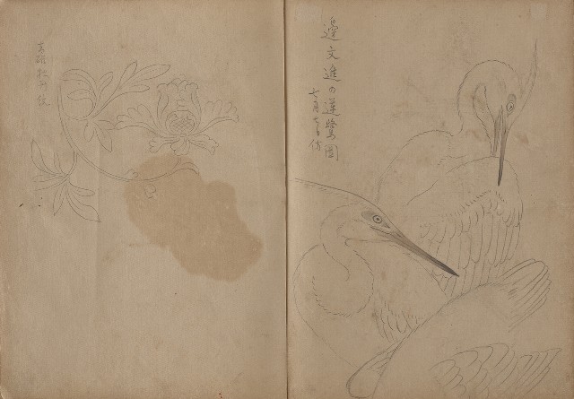 藏品:動物、植物、人物及京都景觀等寫生集的(6)張圖片