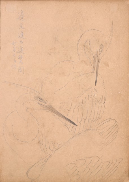 藏品:牛、植物、人物、動物、風景等寫生集009的(8)張圖片