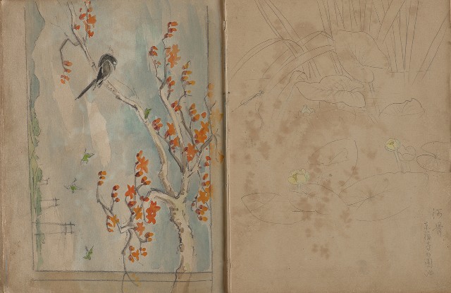 藏品:動物、植物、人物及京都景觀等寫生集的(10)張圖片