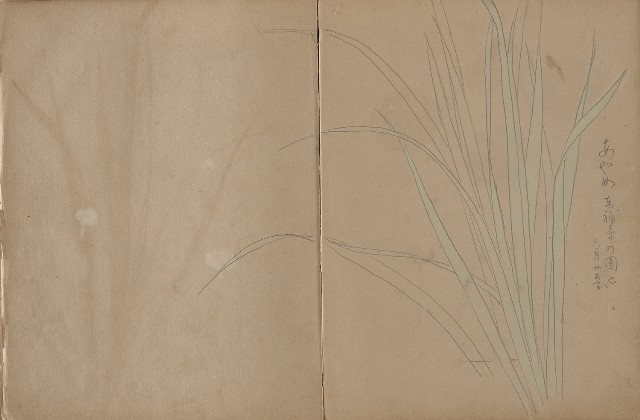 藏品:動物、植物、人物及京都景觀等寫生集的(11)張圖片