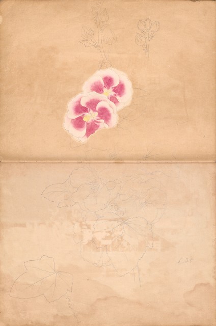 藏品:牛、植物、人物、動物、風景等寫生集009的(11)張圖片