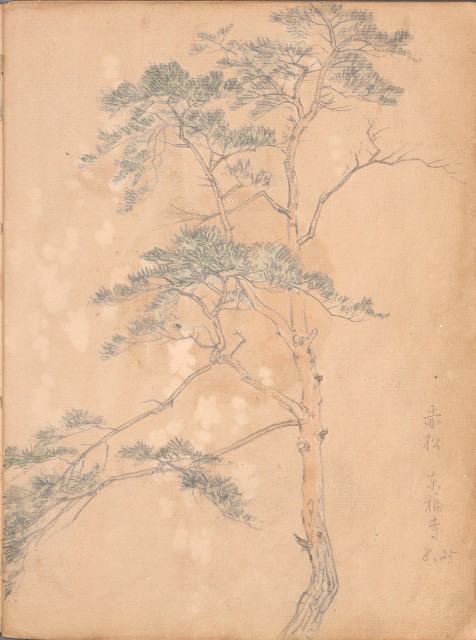 藏品:牛、植物、人物、動物、風景等寫生集009的(13)張圖片