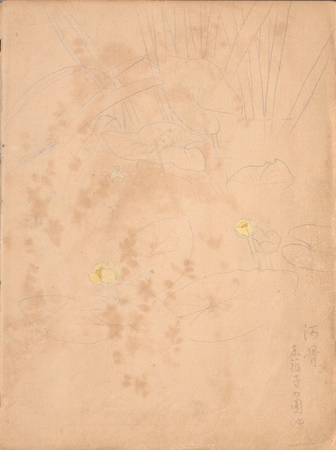 藏品:牛、植物、人物、動物、風景等寫生集009的(15)張圖片