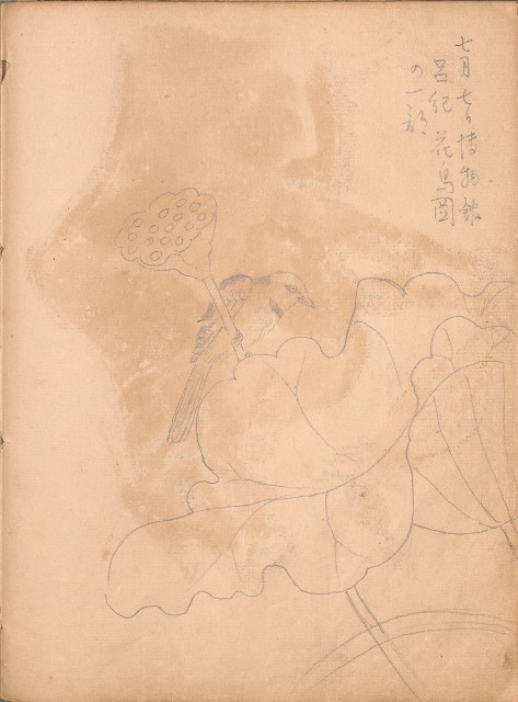 藏品:牛、植物、人物、動物、風景等寫生集009的(20)張圖片