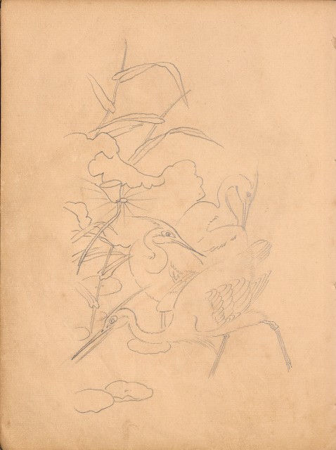 藏品:牛、植物、人物、動物、風景等寫生集009的(21)張圖片