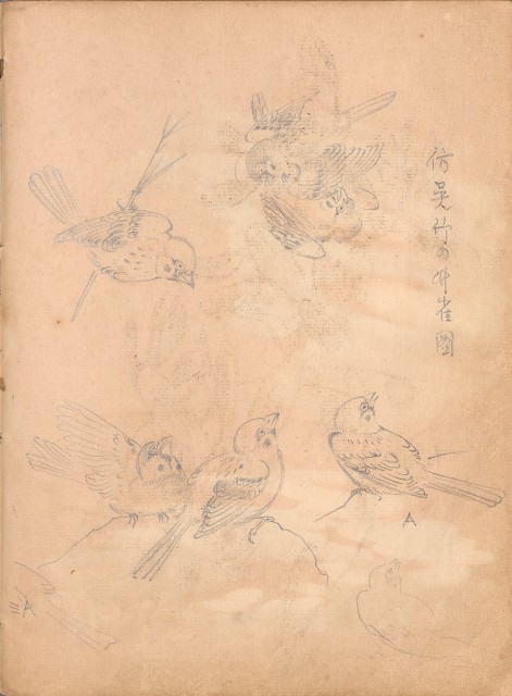 藏品:牛、植物、人物、動物、風景等寫生集009的(22)張圖片