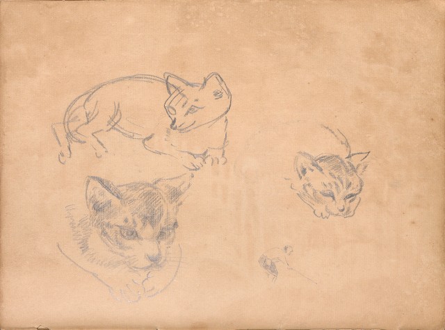 藏品:牛、植物、人物、動物、風景等寫生集009的(26)張圖片