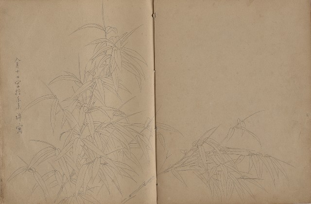 藏品:動物、植物、人物及京都景觀等寫生集的(28)張圖片