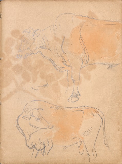 藏品:牛、植物、人物、動物、風景等寫生集009的(29)張圖片