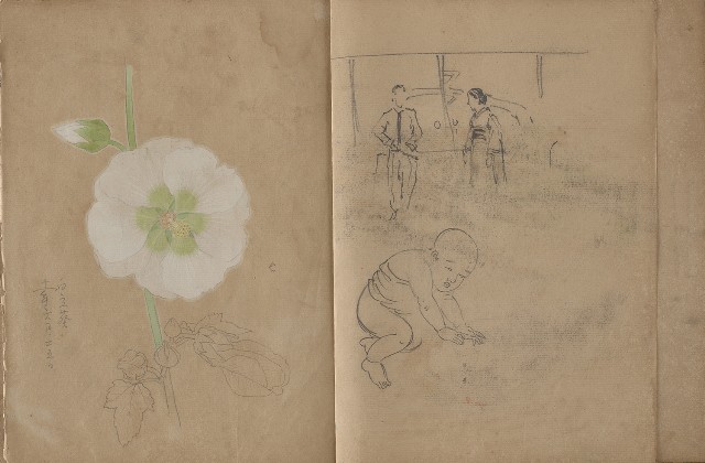藏品:動物、植物、人物及京都景觀等寫生集的(38)張圖片