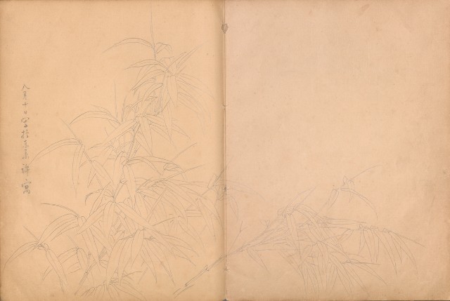 藏品:牛、植物、人物、動物、風景等寫生集009的(41)張圖片