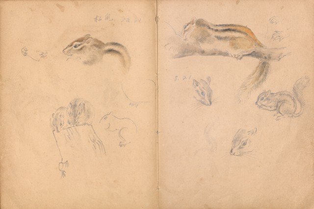 藏品:牛、植物、人物、動物、風景等寫生集009的(42)張圖片