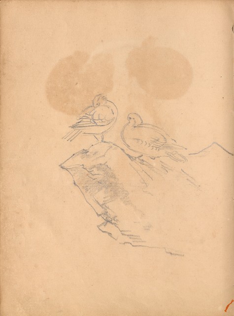 藏品:牛、植物、人物、動物、風景等寫生集009的(43)張圖片