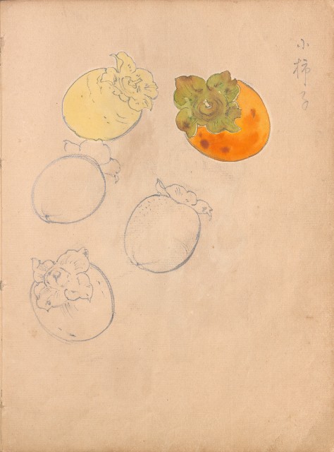 藏品:牛、植物、人物、動物、風景等寫生集009的(44)張圖片