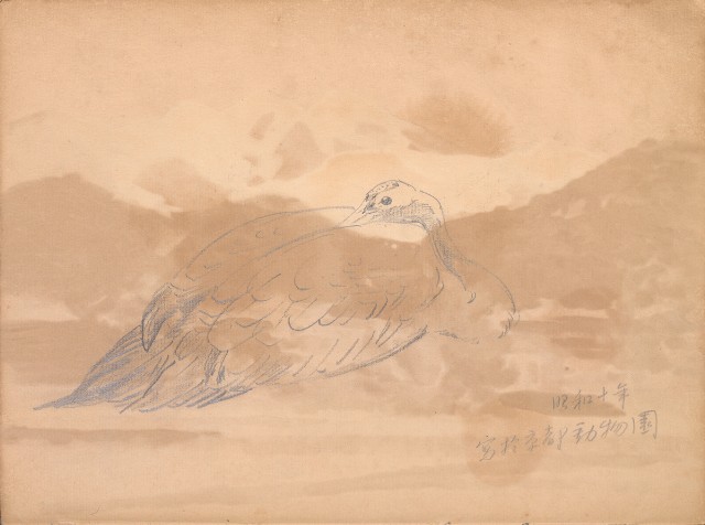 藏品:牛、植物、人物、動物、風景等寫生集009的(48)張圖片