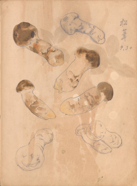 藏品:牛、植物、人物、動物、風景等寫生集009的(50)張圖片