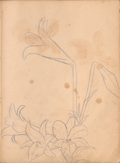 藏品:牛、植物、人物、動物、風景等寫生集009的(52)張圖片