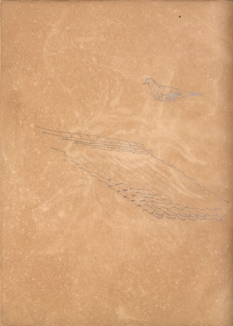 藏品:牛、植物、人物、動物、風景等寫生集009的(62)張圖片