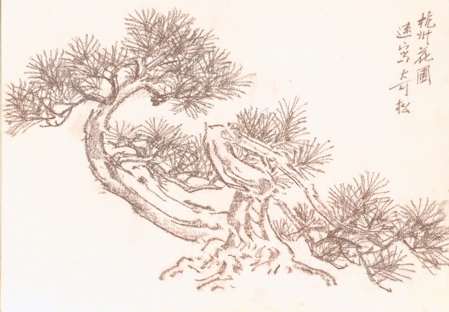 藏品:大陸山景、松樹等寫生集011的(18)張圖片