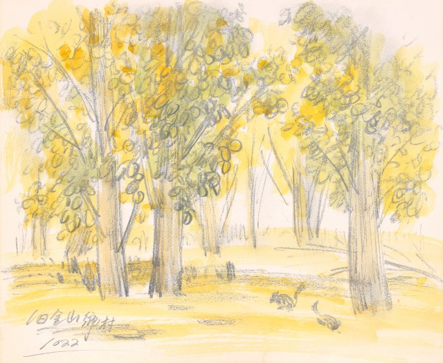 藏品:美國（風景、虎、鳥、熊貓及博物館之物品）寫生集012的(5)張圖片