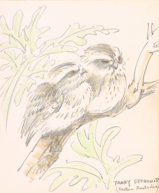 藏品:美國（風景、虎、鳥、熊貓及博物館之物品）寫生集012的(11)張圖片