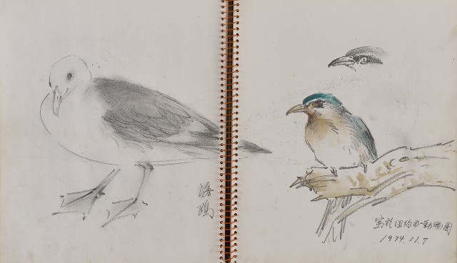 藏品:遊美國紐約及華盛頓寫生集的(12)張圖片