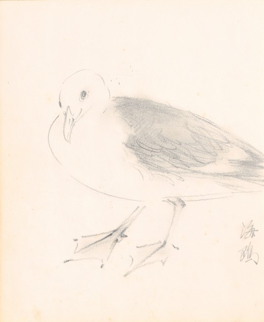 藏品:美國（風景、虎、鳥、熊貓及博物館之物品）寫生集012的(12)張圖片