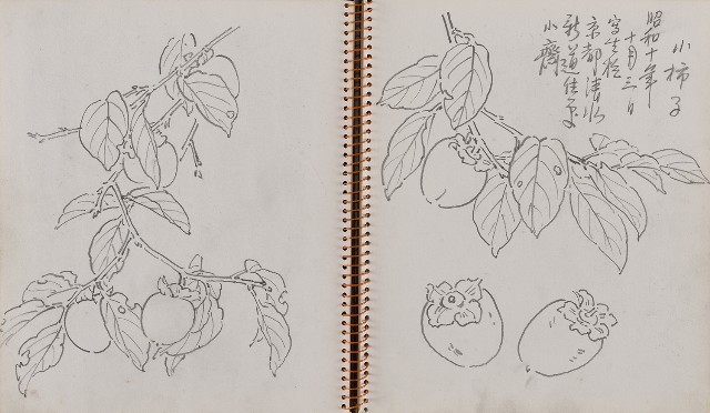 藏品:遊美國紐約及華盛頓寫生集的(17)張圖片