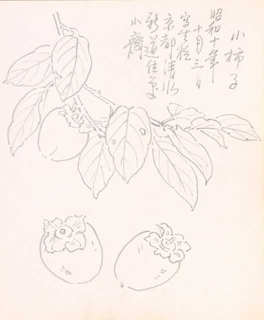 藏品:美國（風景、虎、鳥、熊貓及博物館之物品）寫生集012的(19)張圖片