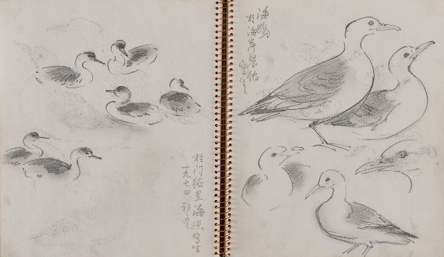 藏品:遊美國紐約及華盛頓寫生集的(20)張圖片