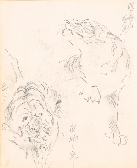 藏品:美國（風景、虎、鳥、熊貓及博物館之物品）寫生集012的(20)張圖片