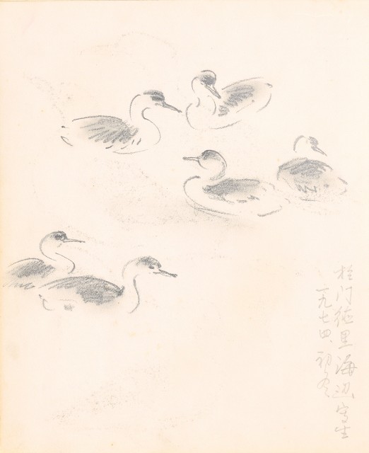 藏品:美國（風景、虎、鳥、熊貓及博物館之物品）寫生集012的(23)張圖片