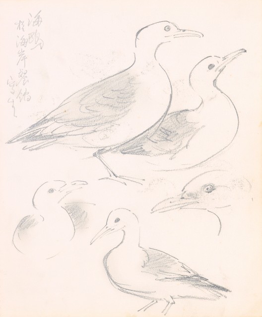 藏品:美國（風景、虎、鳥、熊貓及博物館之物品）寫生集012的(24)張圖片