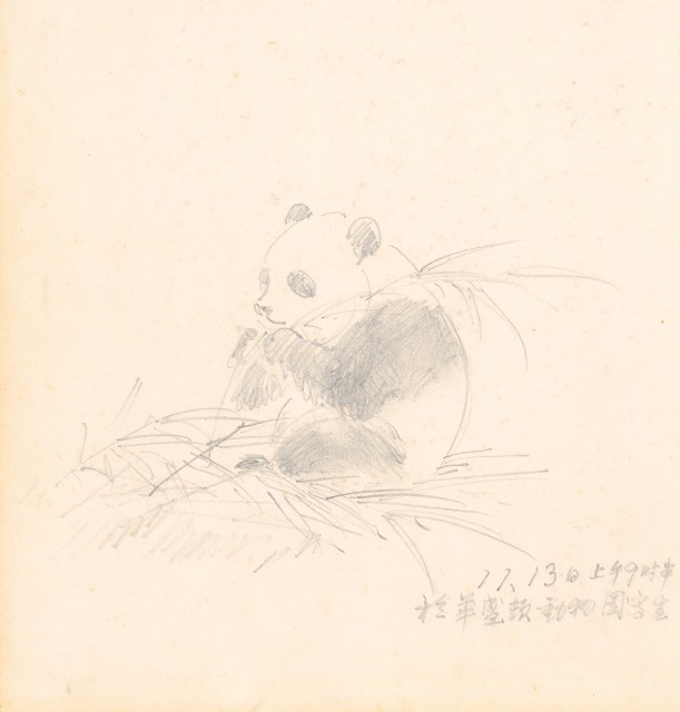 藏品:美國（風景、虎、鳥、熊貓及博物館之物品）寫生集012的(33)張圖片