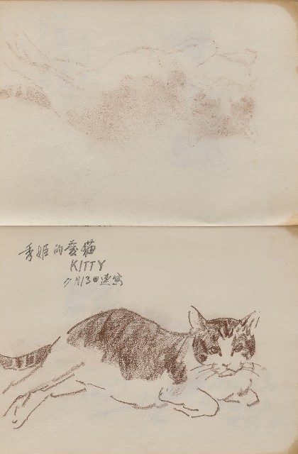 藏品:動物、植物與鼻頭角景觀等寫生集的(4)張圖片