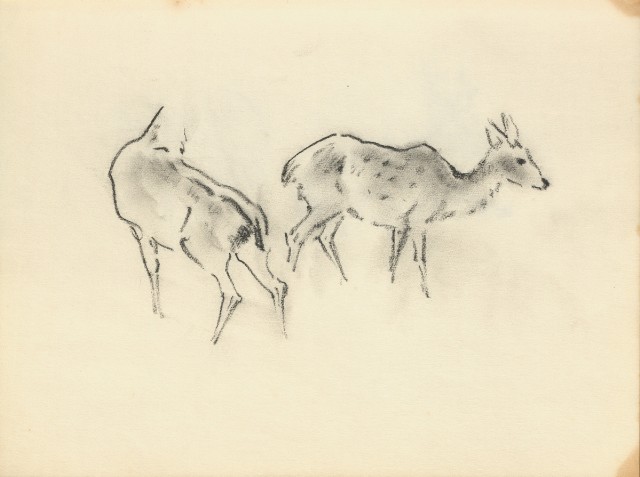 藏品:Flowers, Birds, Cats, Deer, Cattle, Ducks, Paintings, Bitous Cape Landscapes, etc. Life Drawing Collection013的(6)張圖片