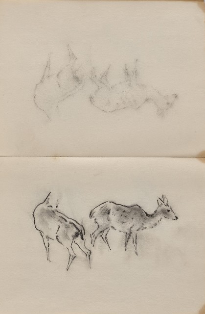 藏品:動物、植物與鼻頭角景觀等寫生集的(6)張圖片