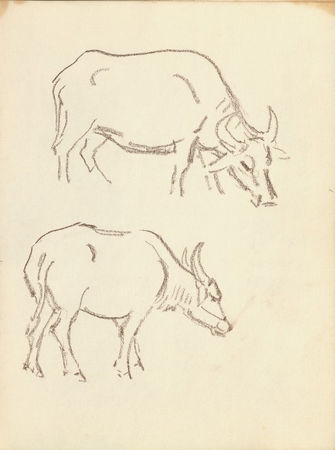 藏品:花、鳥、貓、鹿、牛、鴨、畫像及鼻頭角風景等寫生集013的(14)張圖片