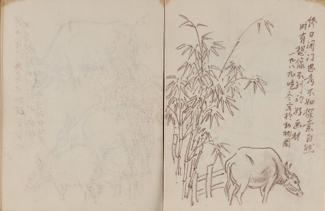 藏品:動物、植物與鼻頭角景觀等寫生集的(15)張圖片