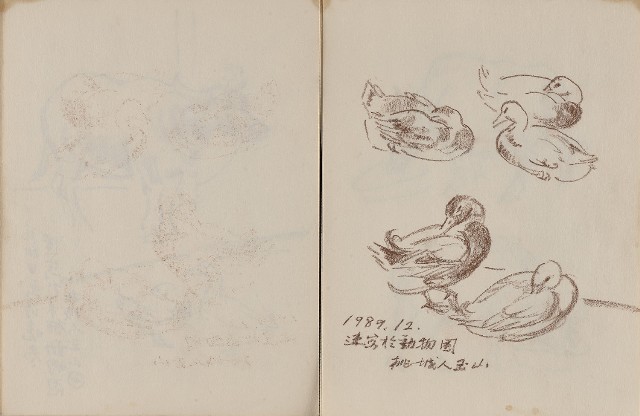 藏品:動物、植物與鼻頭角景觀等寫生集的(17)張圖片