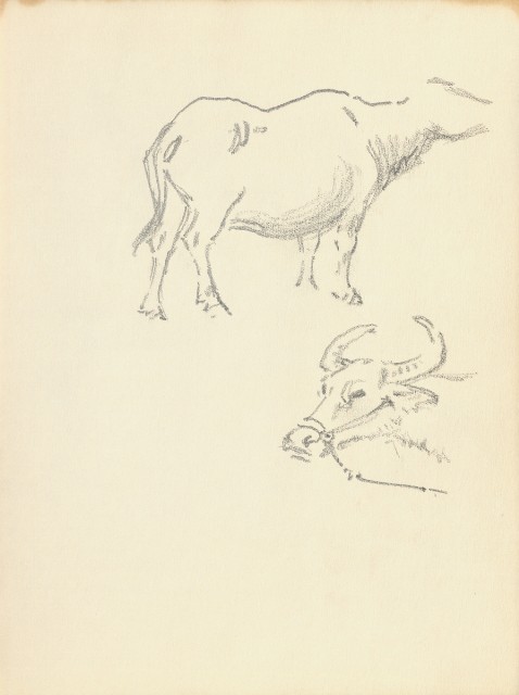 藏品:花、鳥、貓、鹿、牛、鴨、畫像及鼻頭角風景等寫生集013的(19)張圖片